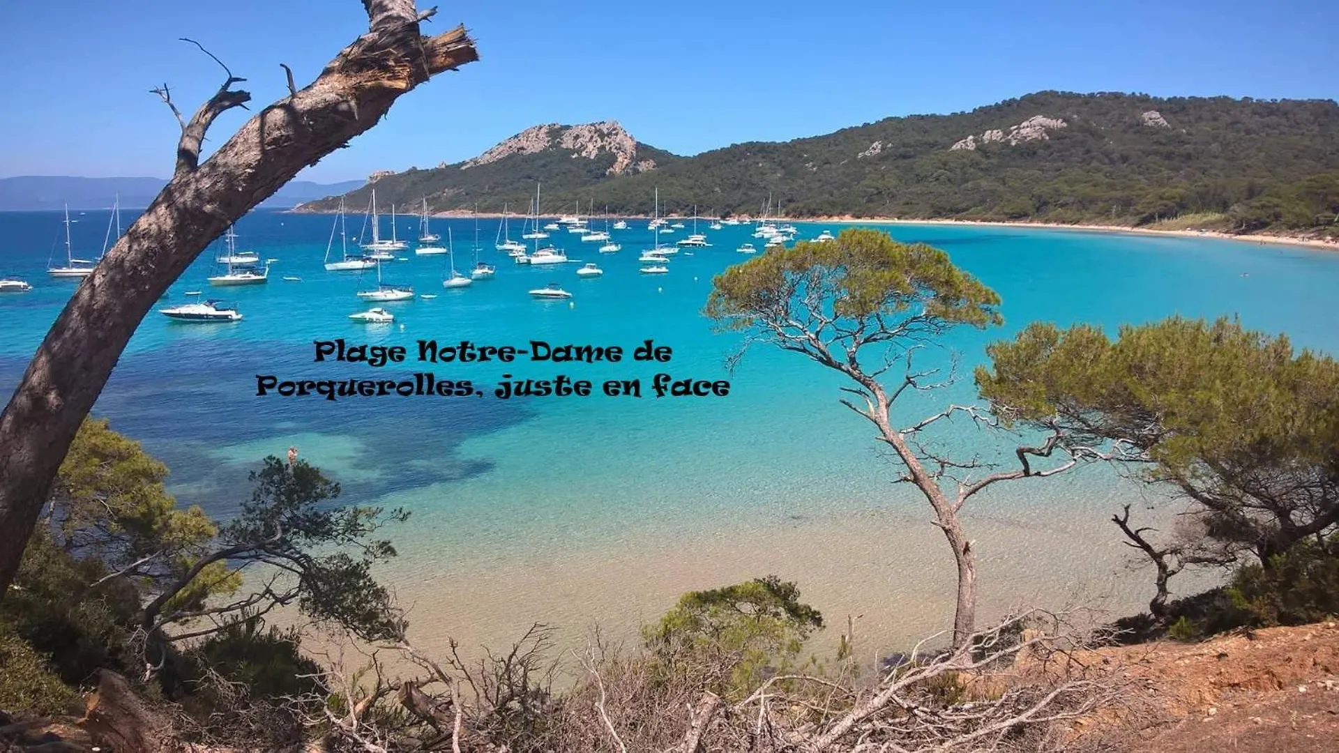 Campsite Mobil-Home De Jean-Michel Et Nicole Hyeres